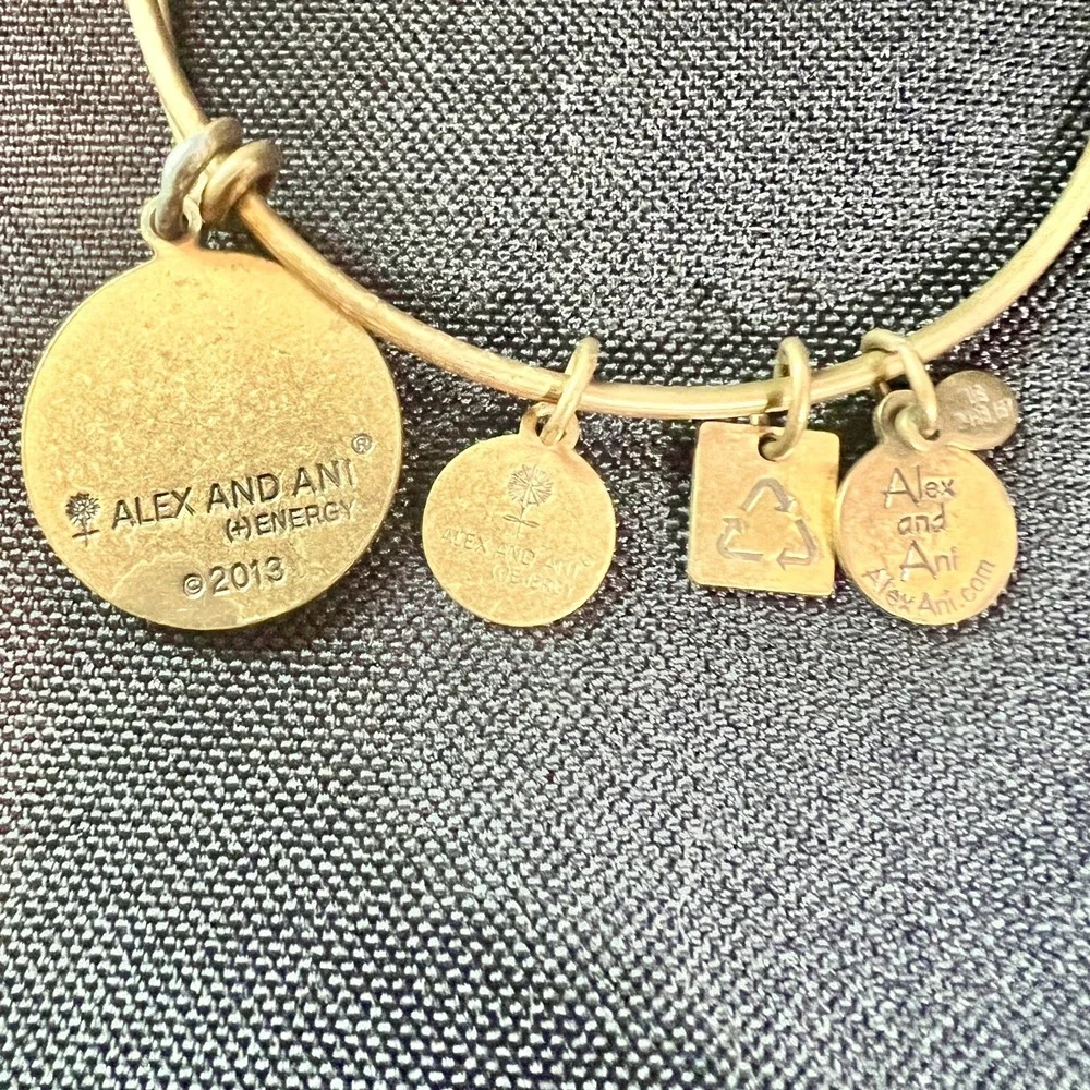Alex‎ & Ani Expandable Charm Bangles Lot Of 3 Mixed Metals Wear Patina Stack